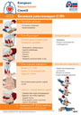 Европейский институт интенсивной терапии (European Resuscitation Council)