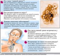 Инфографика H1N1 Инфографика H1N1